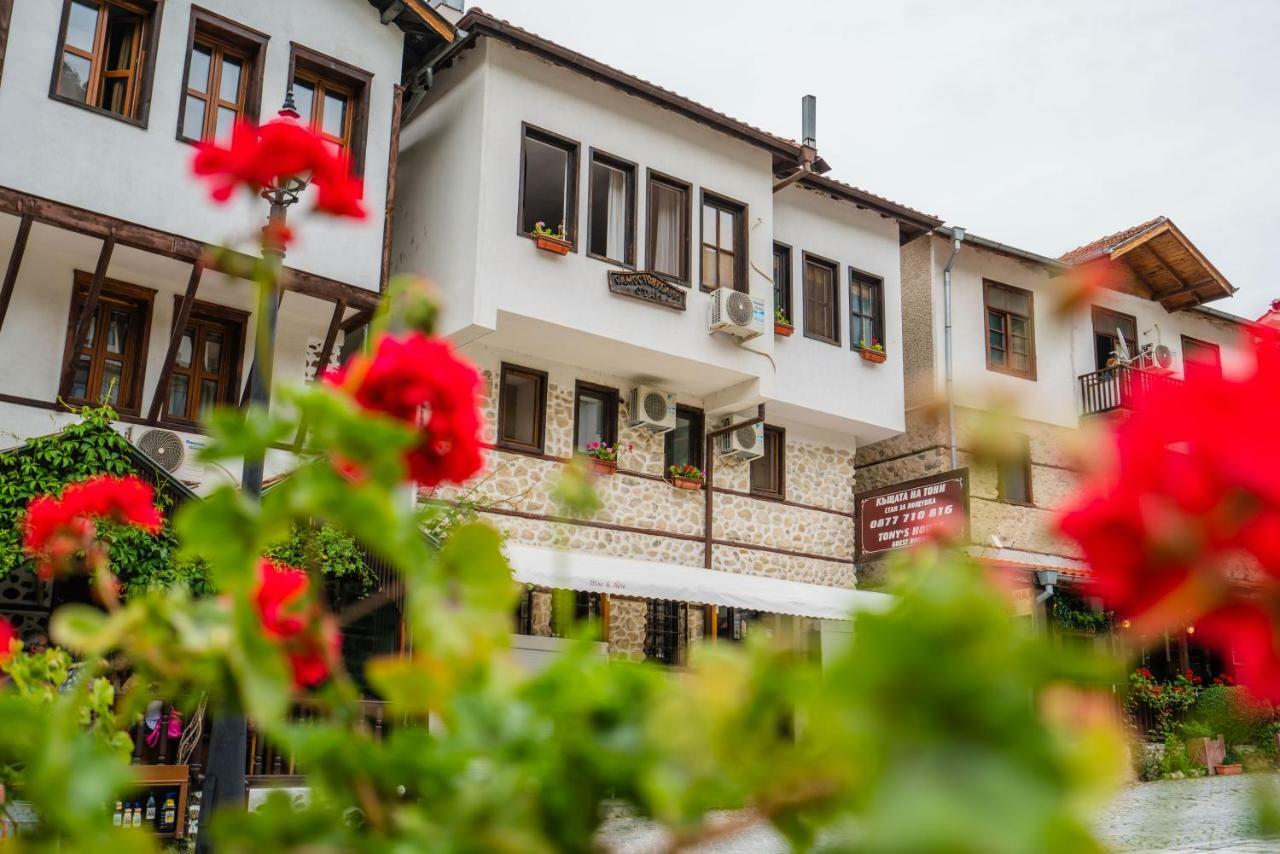 Toni'S Guest House Melnik  Luaran gambar